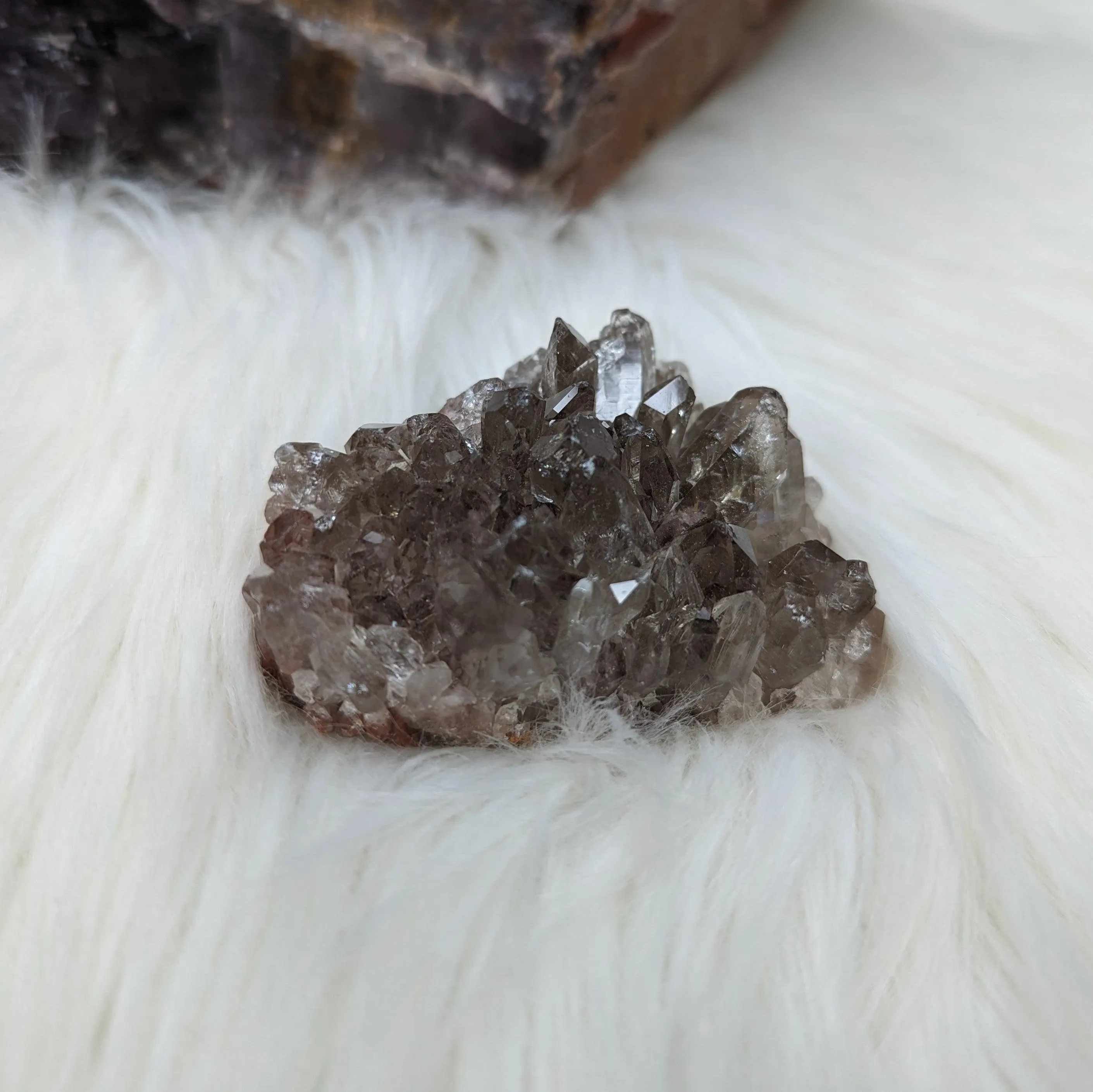 Beautiful Smoky Quartz Cluster~ With Rainbows! ~