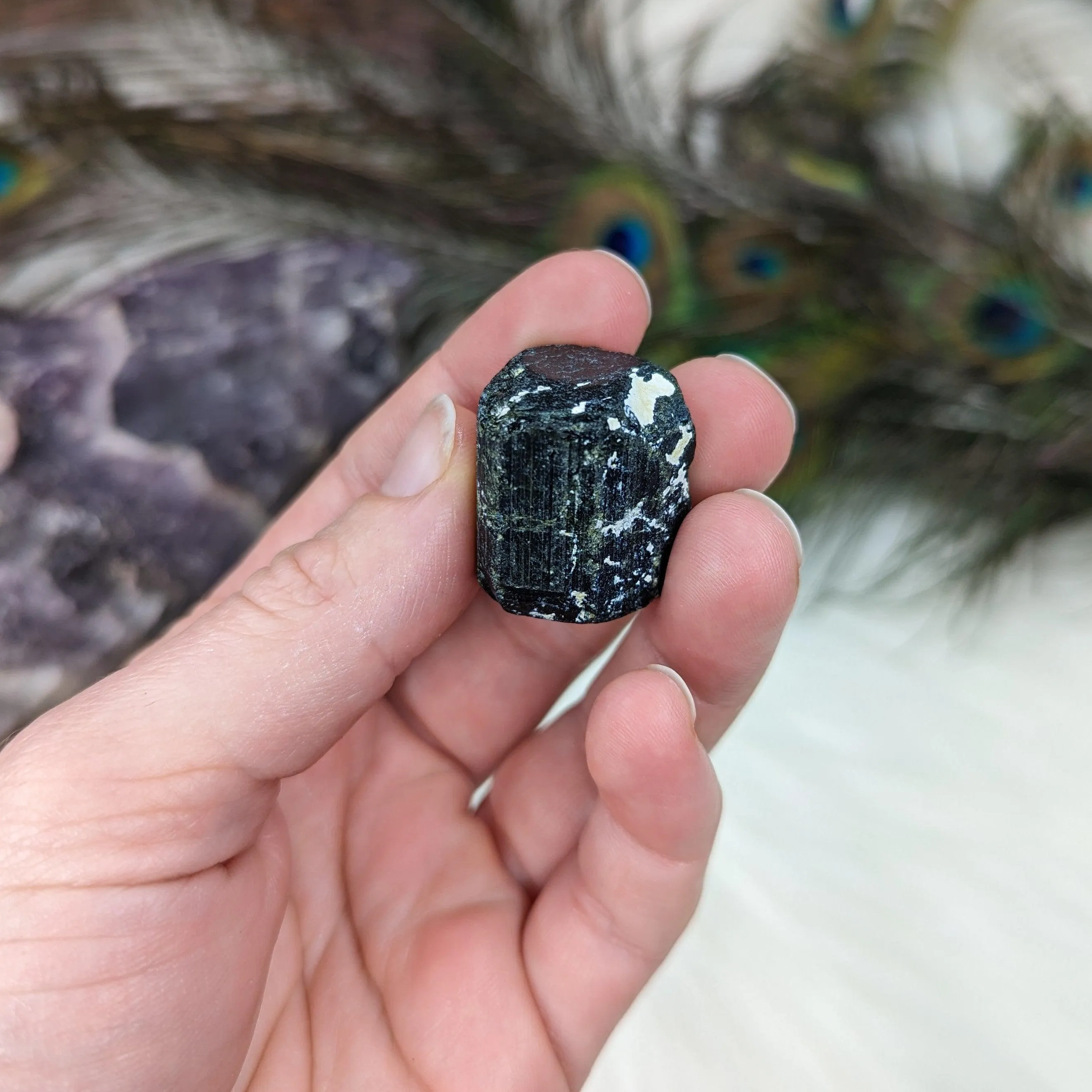 Black Tourmaline AA Gemmy Crystal Specimen