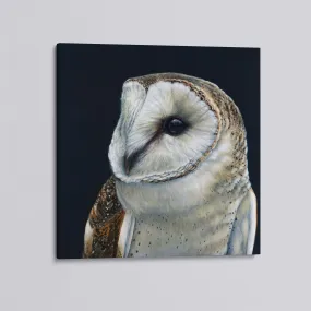 Luna The Barn Owl canvas print