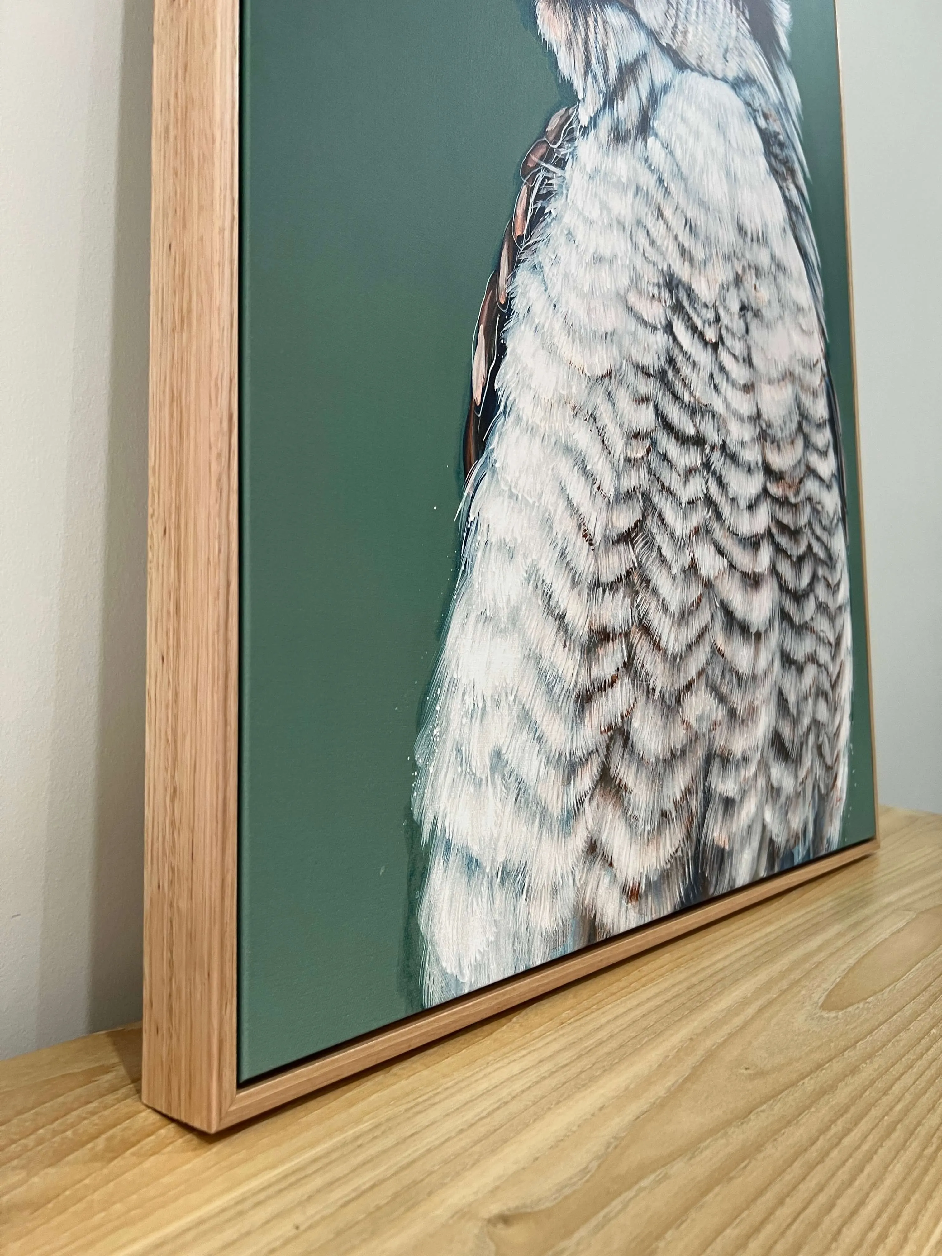 Maya the Kookaburra Canvas Print