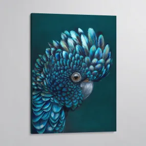 'Oz' The Red Tailed Black Cockatoo canvas print