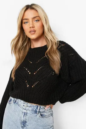 Pointelle Stitch Chunky Crop Sweater