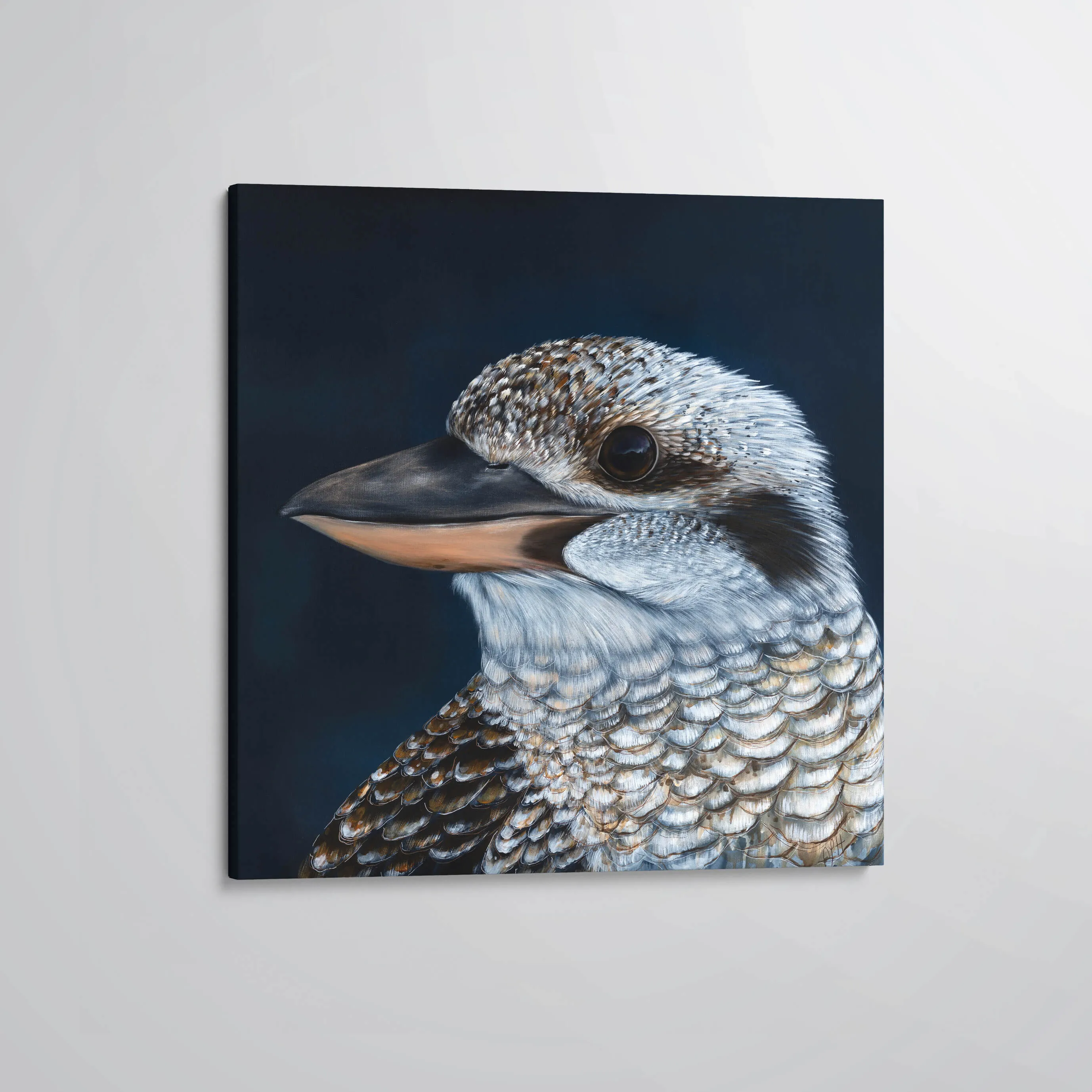 'Reflection' Laughing Kookaburra canvas print