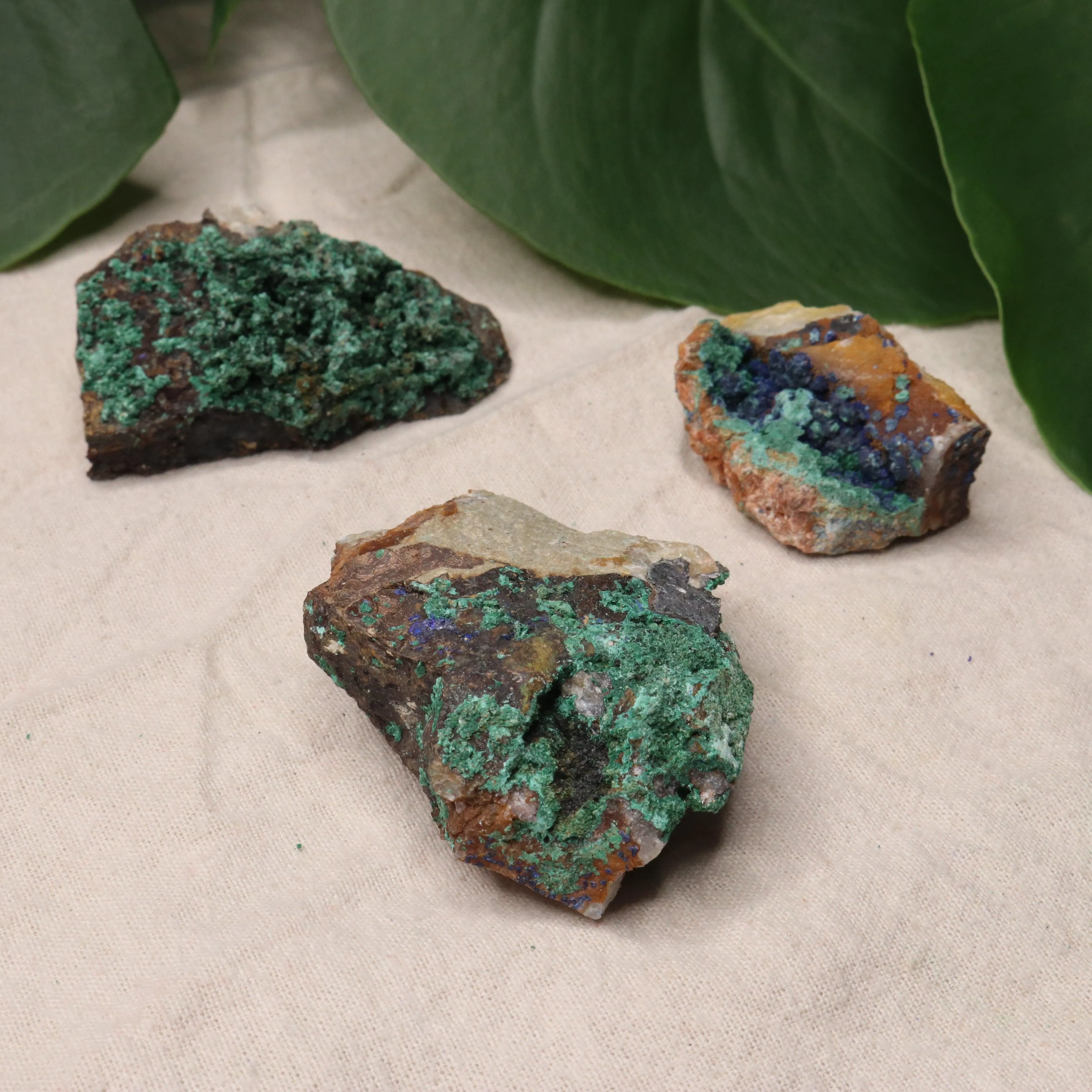 Rough Azurite and Malachite Specimen Set of 3 from Morocco