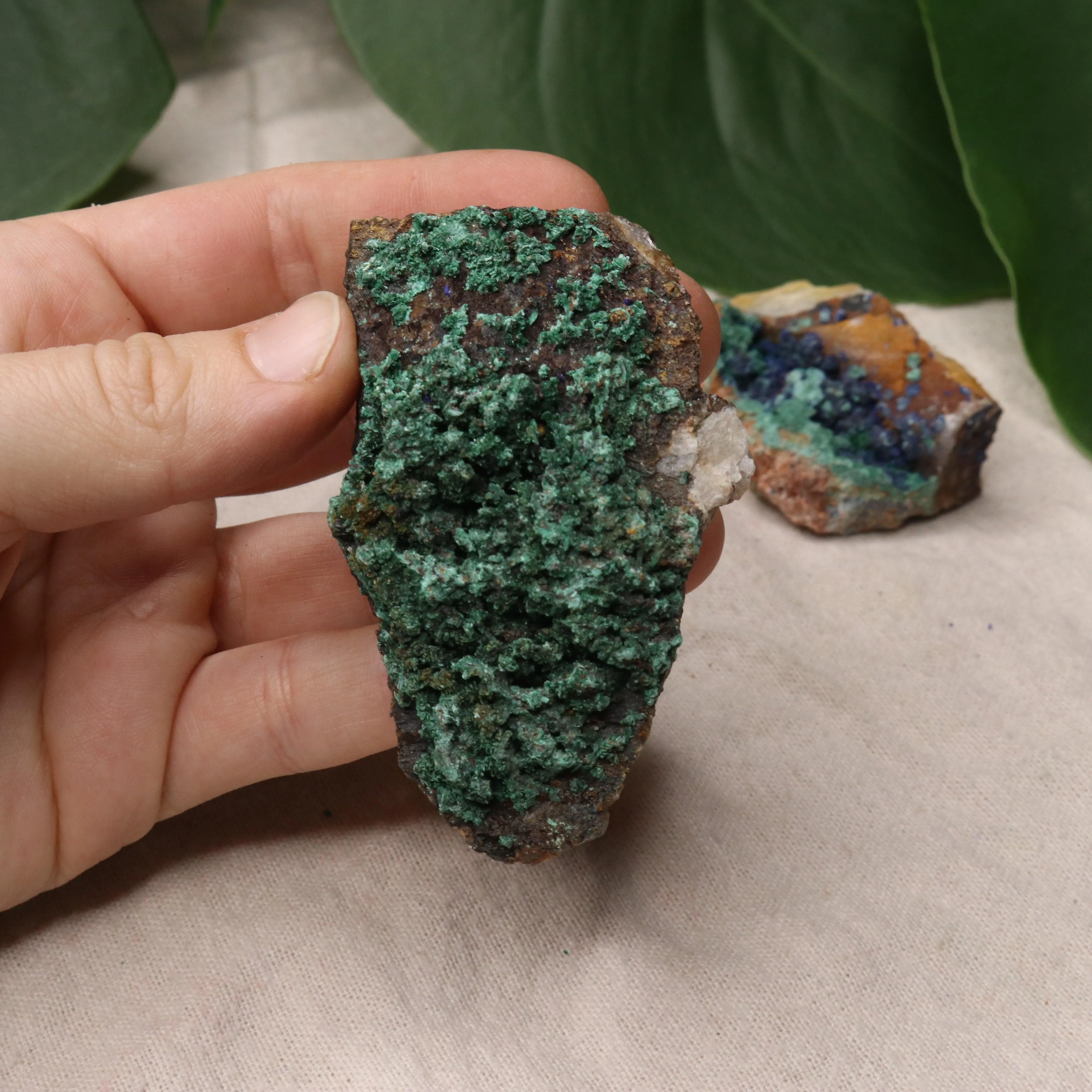 Rough Azurite and Malachite Specimen Set of 3 from Morocco