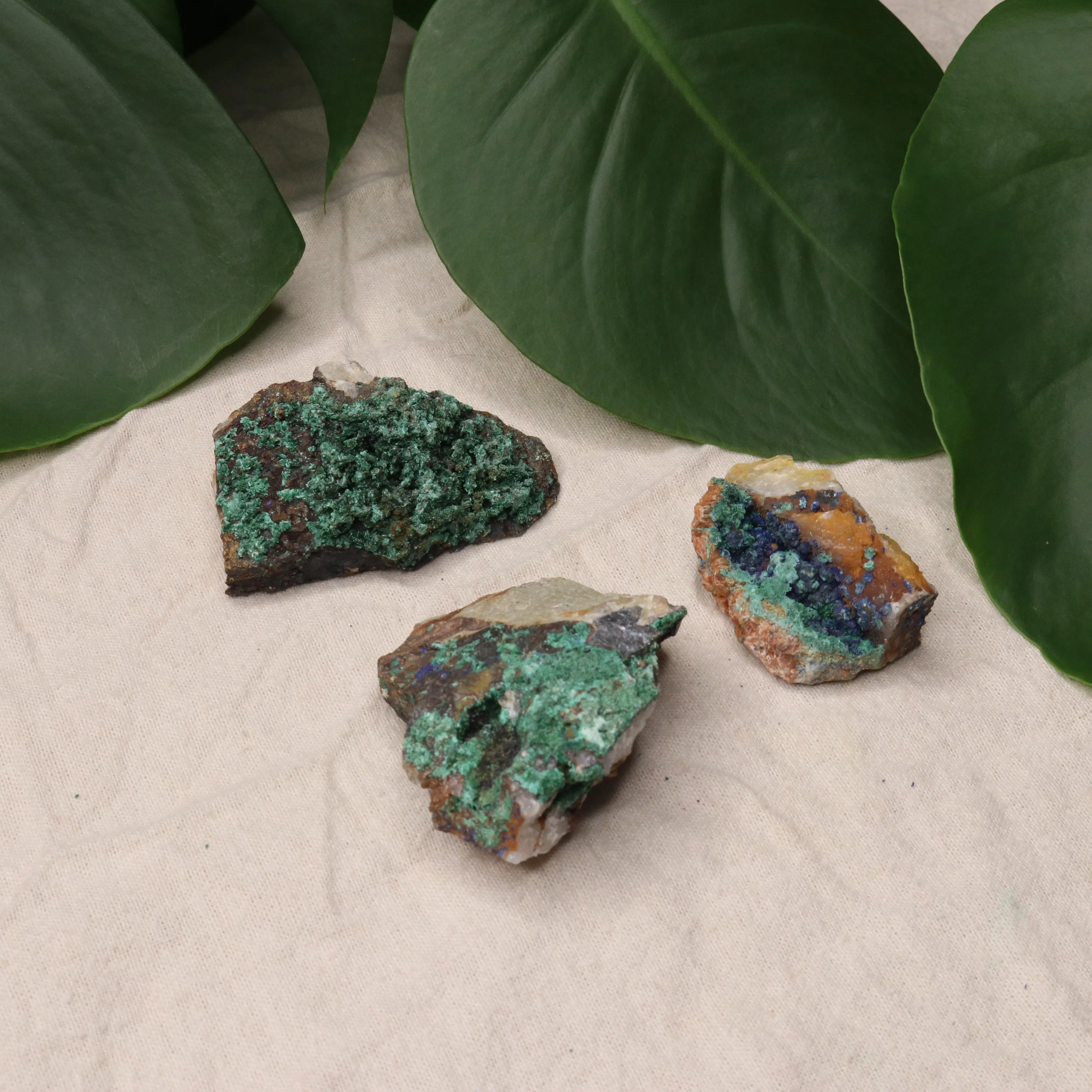 Rough Azurite and Malachite Specimen Set of 3 from Morocco