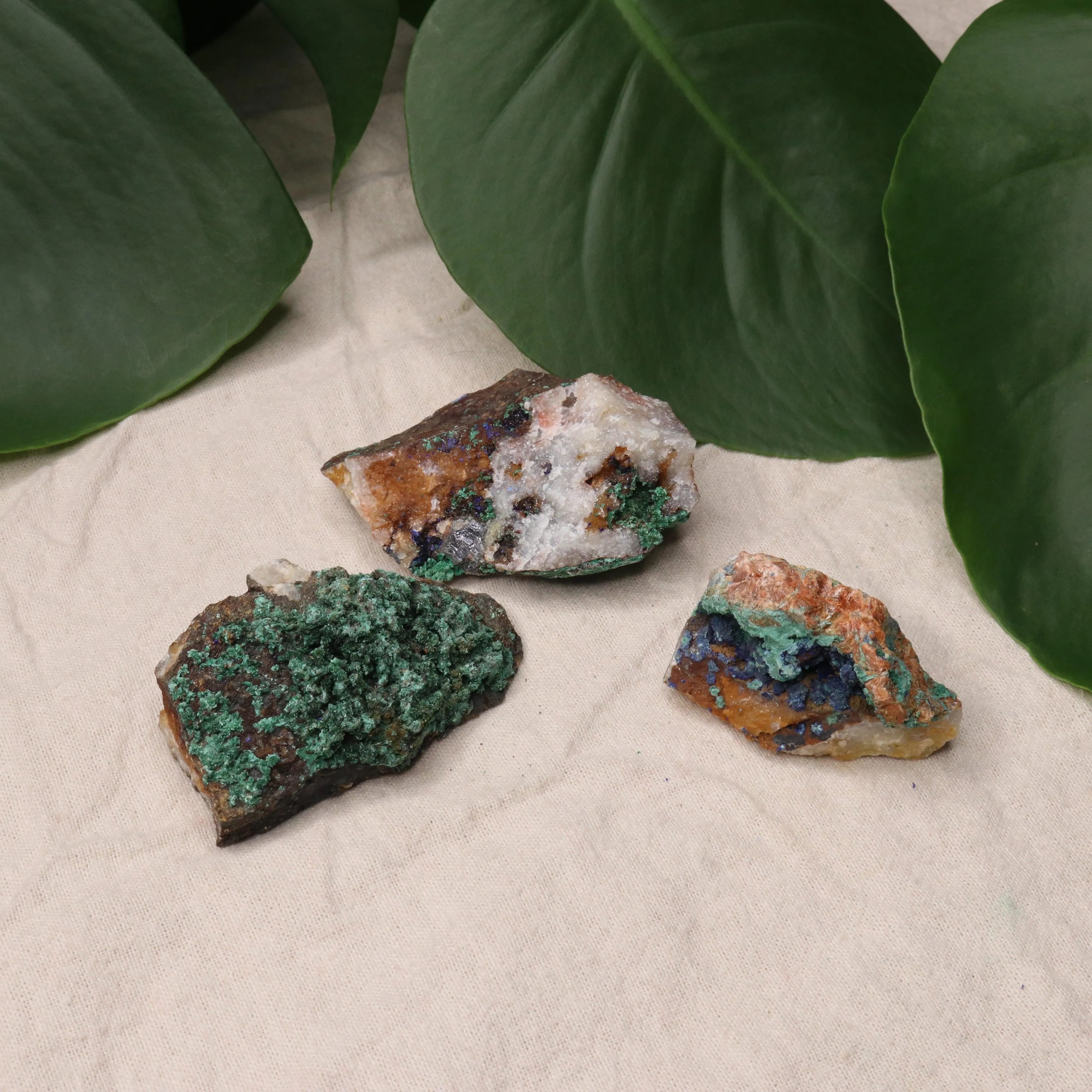 Rough Azurite and Malachite Specimen Set of 3 from Morocco