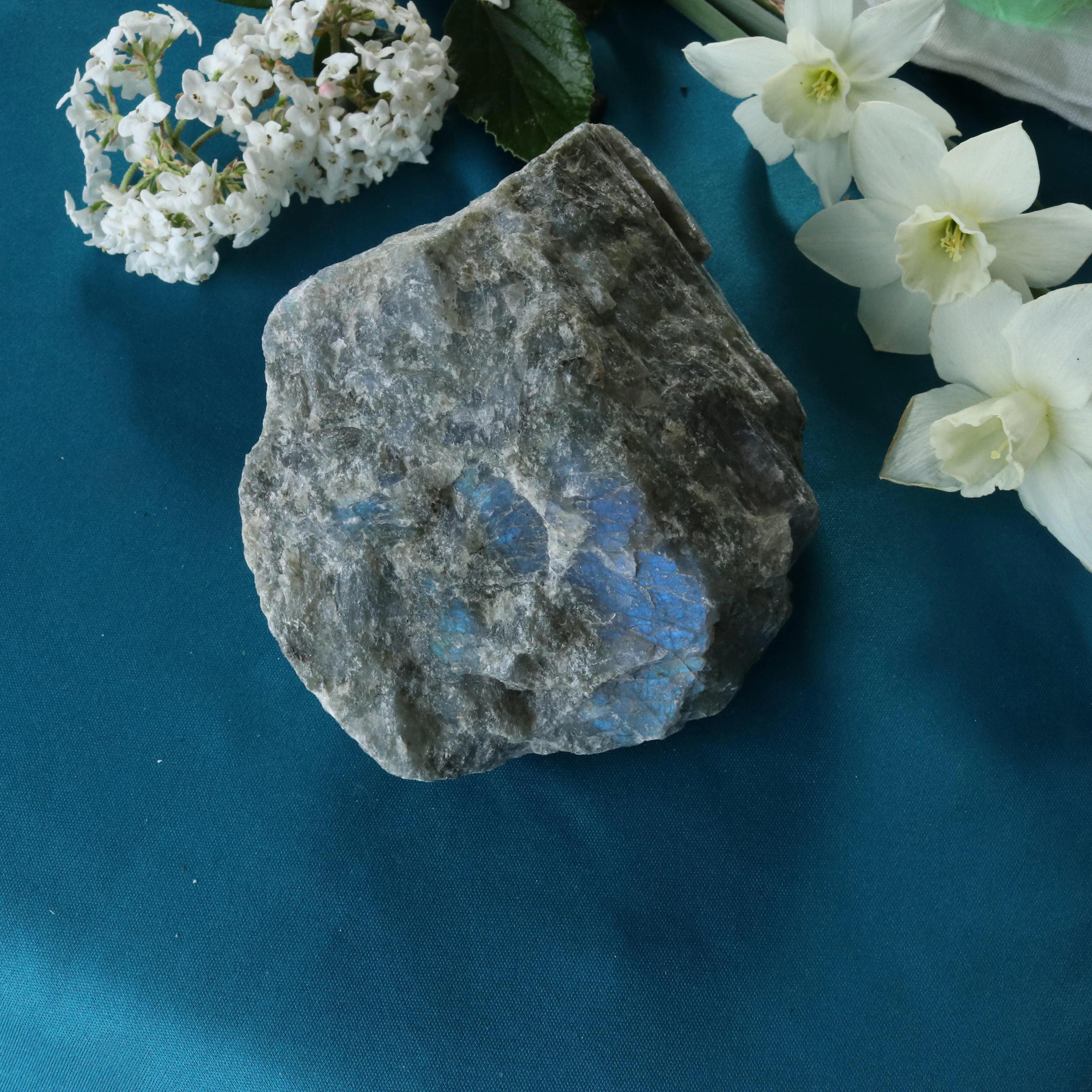 Rough Labradorite Specimen with Rainbow Blue Flashes ~ Specimen #3