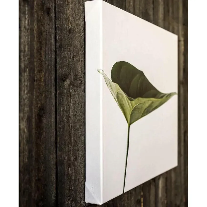 SLOTH ABDUCTION WALL CANVAS