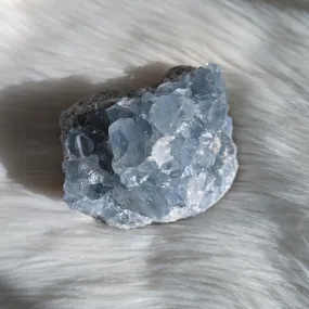 Sparkling Sweet BLUE CELESTITE Geode Cluster