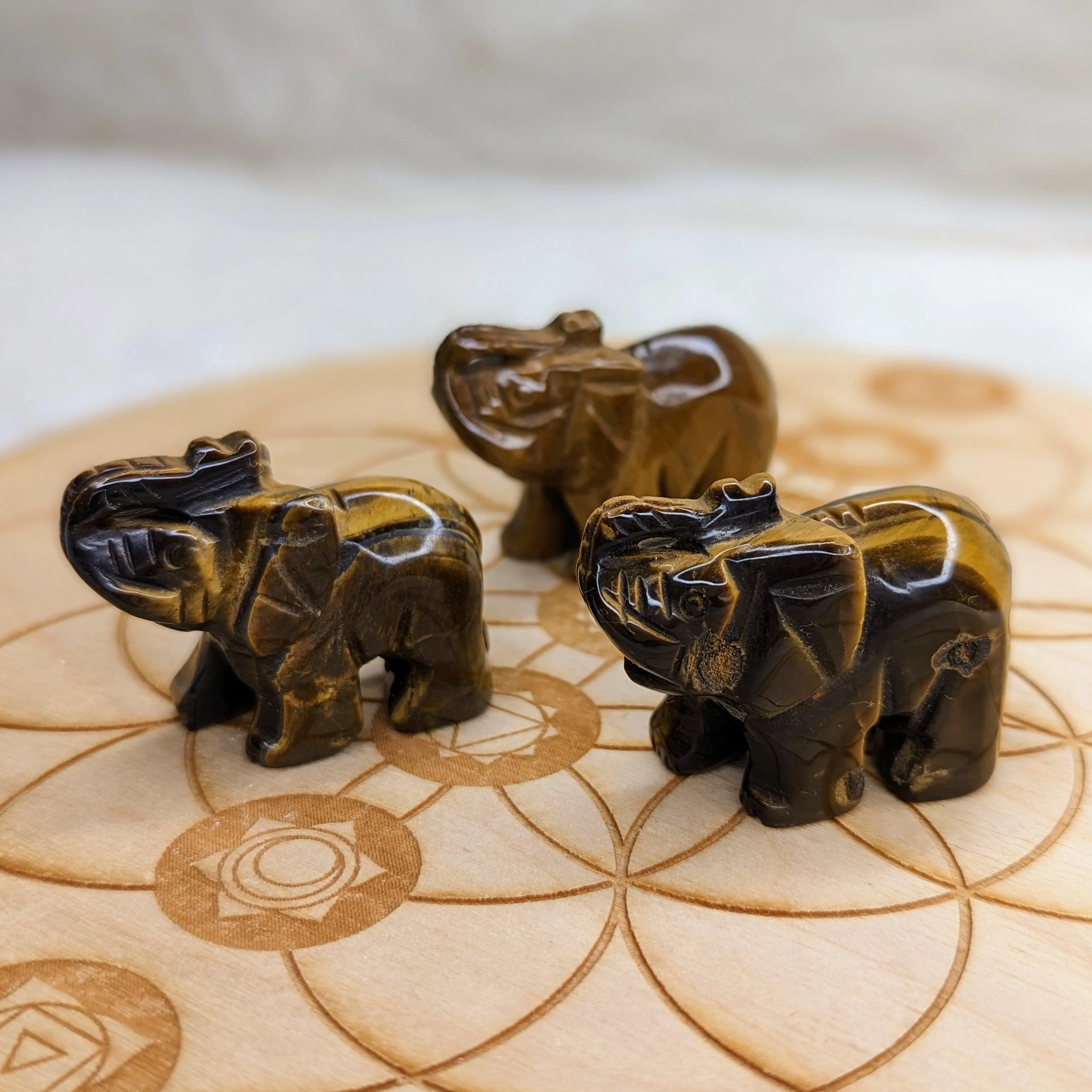 Tiger's Eye Elephant Carvings