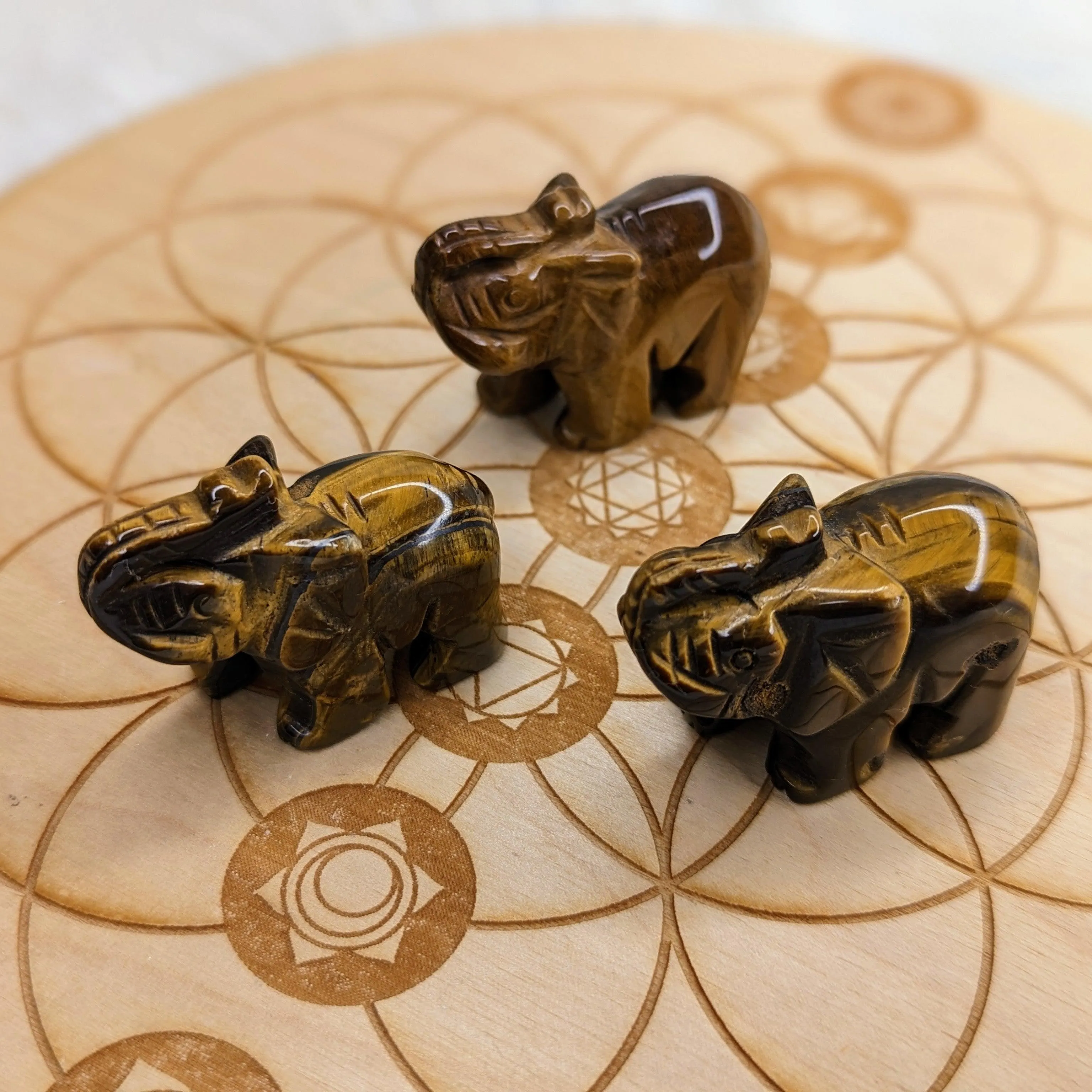 Tiger's Eye Elephant Carvings